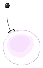 Chip 0313 Effect